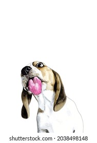 Beagle dog pedigree pup showing tongue on white, watercolor illustration. Friendly hound, pedigreed puppy. Holiday card