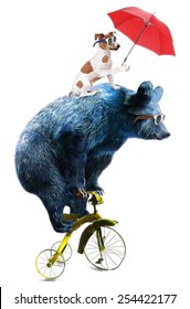 Bear and dog circus show illustration. Performance of the bear on bike.T-shirt graphics.Cute cartoon characters.Animal print.