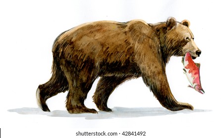 Bear Grizzly With Fish