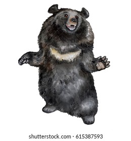1,239 Himalayan black bear Images, Stock Photos & Vectors | Shutterstock