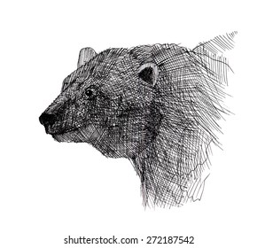 bear rod