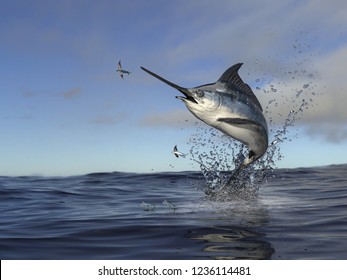 Красивая рыба-меч марлин выпрыгивает из воды, чтобы поймать летающую рыбу 3d рендер