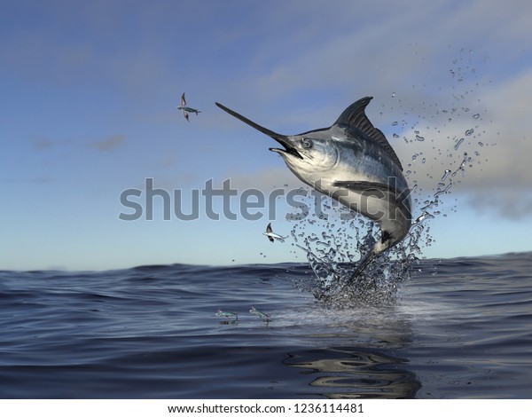 Beatiful marlin swordfish jumping out of water to\
catch flying fish 3d\
Render