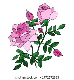 Pink Rose Aesthetic Stock Illustrations Images Vectors Shutterstock