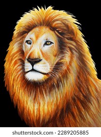 Beautiful African lion hand drawing  Illustration and colored pencils  Big wild cat black background 