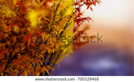 Similar – Image, Stock Photo Asian fans Nature Spring