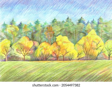 Beautiful autumn landscape and yellow trees  Hand drawn and colored pencils  Natural background 