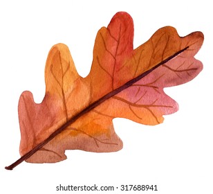 A Beautiful Autumn Watercolor Oak Leaf On White Background