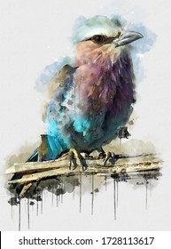 Beautiful Blue Brown Bird. Beautiful Digital Watercolour Painting Of Bird. Isolated Painting Of Exotic Birds. Endangered Animal Abstract Paintings Wallpaper. Portrait Of Bird