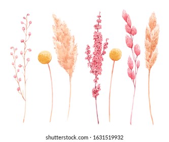 Beautiful bouquet composition with watercolor herbarium wild dried grass in pink and yellow colors. Stock illustration.