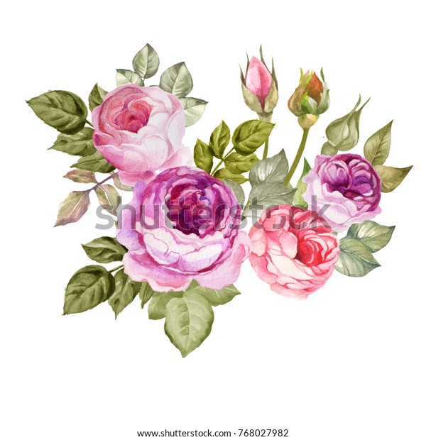 Beautiful Bouquet Lilac Roseswatercolor Stock Illustration 768027982 ...