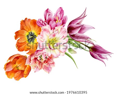 A beautiful bright bouquet of different varieties of tulips. Flowers painted in watercolor. Spring bouquet. Watercolour illustration.