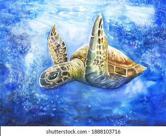 Beautiful Bright Realistic Turtle In The Ocean. Hand Drawn Illustration For Earth Protection, Supporting Sea Creatures, Animal Shelter. Bubbles, Blue Sea Water Coral Reef. 