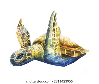 Beautiful bright realistic turtle in the ocean coral reef  Hand drawn illustration for earth protection  supporting sea creatures  animal shelter  Bubbles  blue sea water nautical marine