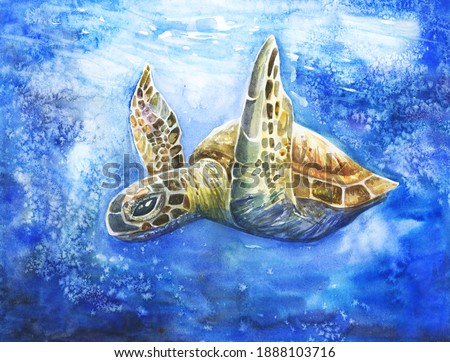 Beautiful bright realistic turtle in the ocean. Hand drawn illustration for earth protection, supporting sea creatures, animal shelter. Bubbles, blue sea water coral reef. 