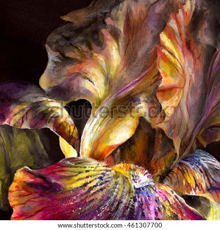 Beautiful  bright and rich exotic flower iris on black background.  Realistic drawing  on paper texture - hand illustration with digital processing.