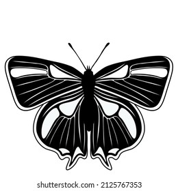 Beautiful Butterfly Illustration, UK Butterflies