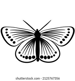 Beautiful Butterfly Illustration, UK Butterflies