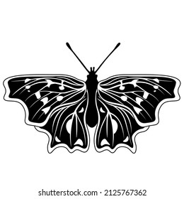 Beautiful Butterfly Illustration, UK Butterflies