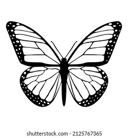 Beautiful Butterfly Illustration, UK Butterflies