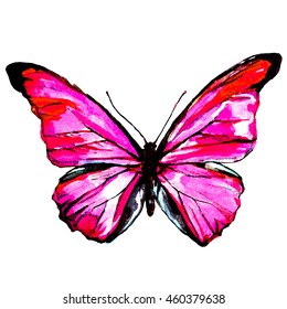 Butterflywatercolor Isolated On White Stock Illustration 507374077