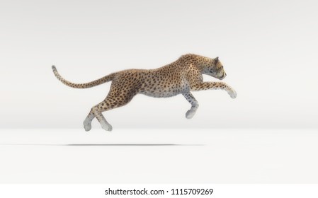 A Beautiful Cheetah Running On White Background - 3d Render Illustration