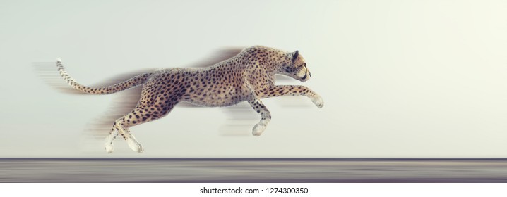 A Beautiful Cheetah Running On White Background. This Is A 3d Render Illustration