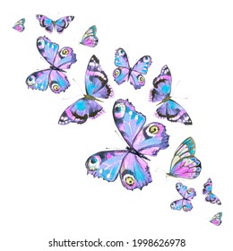 schöne farbige Schmetterlinge, Set, Aquarell einzeln auf Weiß