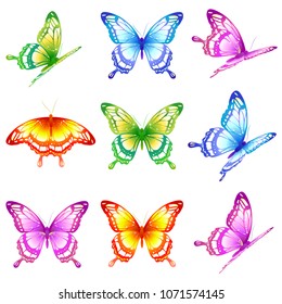 Colorful Butterflies Set Vector Illustration Stock Vector (Royalty Free ...