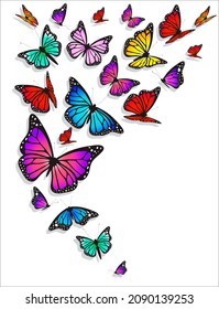 schöne farbige Schmetterlinge, einzeln auf Weiß