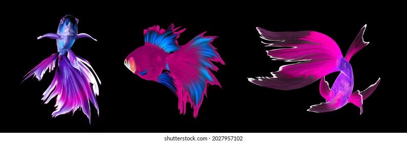 魚 群 綺麗 のイラスト素材 画像 ベクター画像 Shutterstock