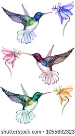 Watercolor Set Hummingbirds Stock Illustration 127630295