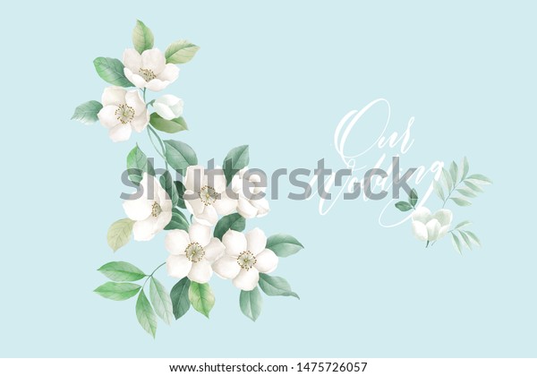 Beautiful Combination Small White Flowers Very Stock