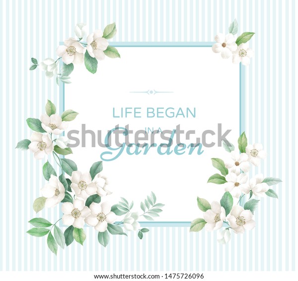 Beautiful Combination Small White Flowers Very Stock