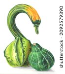 A beautiful composition of decorative pumpkins. Botanical watercolor illustration of unusual pumpkins in the shape of a swan and a pear