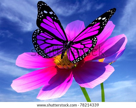  Beautiful  Cosmos Flower  Butterfly  Stock Illustration 