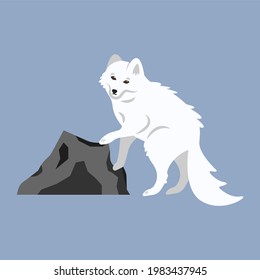 Beautiful cute fluffy white arctic fox. Cartoon illustration of a wild polar animal from the tundra, Siberia, north. Clipart, element for eco poster design of a charity for the protection of animals.