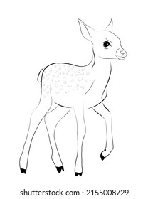 Beautiful Deer Line Drawing Art