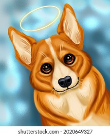 A beautiful dog. Corgi with big eyes. Cute nose and ears. A halo over your head. Blue background color. Red fur color and brown eyes.