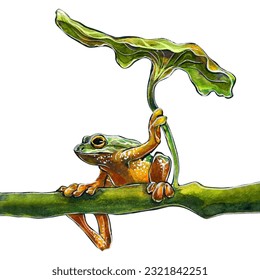 A beautiful drawing cute   colorful frog sitting under leaf  Watercolor drawing isolated white background 
