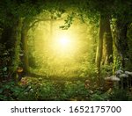 Beautiful enchanting magical lush woodland leading to a heavenly light, 3d render.