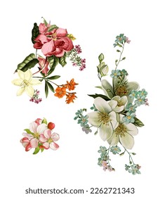 Beautiful floral illustrations baroque designs for digital printing frames and textile materials 