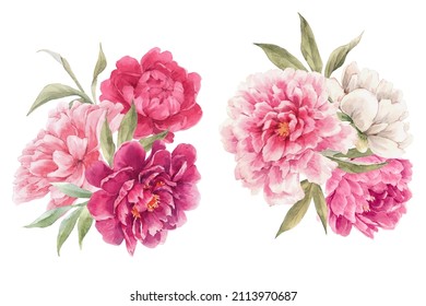 Beautiful floral set with watercolor hand drawn peony flower bouquets. Stock illustration.