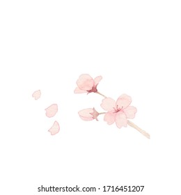 1 749件の 桜 手書き のイラスト素材 画像 ベクター画像 Shutterstock