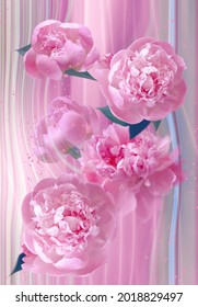 Beautiful flowers of pink peonies close-up with vertical stripes. Pastel floral wallpaper, poster, pink peonies background. Flower shop concept. Flower delivery.