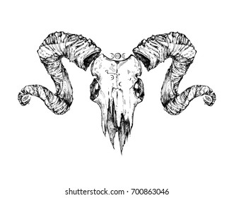 Similar Images, Stock Photos & Vectors of Beautiful goat skull. Drawn ...