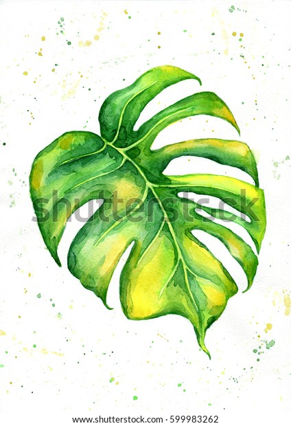 Beautiful Greeny On Watercolor Drops Background Stock Illustration