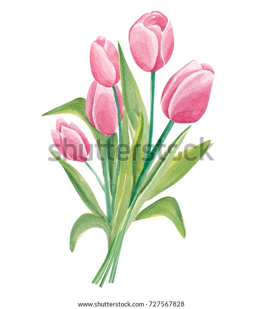 Beautiful Hand Drawn Watercolor Tulips Bouquet Stock Illustration ...