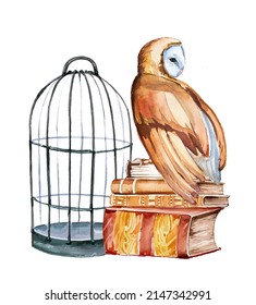 Beautiful hand painted owl and cage portrait isolated on a white background. Forest animal concept. Wild bird illustration. Magical wise owl with flowers  artwork for poster, print,card.