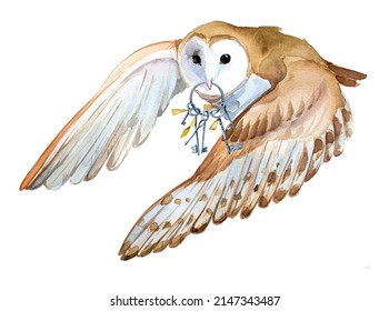 Beautiful hand painted owl and an old keys portrait isolated on a white background. Forest animal concept. Wild bird illustration. Magical wise owl flies  artwork for poster, print,card.